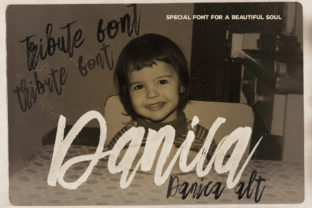 Discover the Power of Danica for Modern Web Design